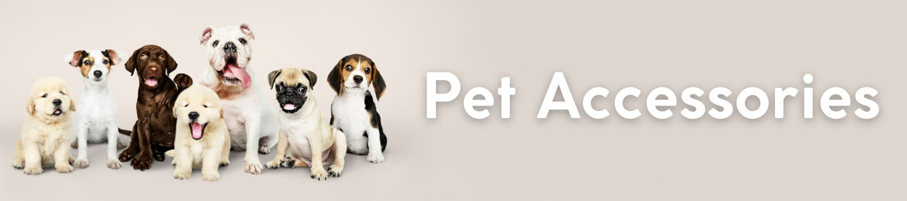 Pet Accessories (Shop all)