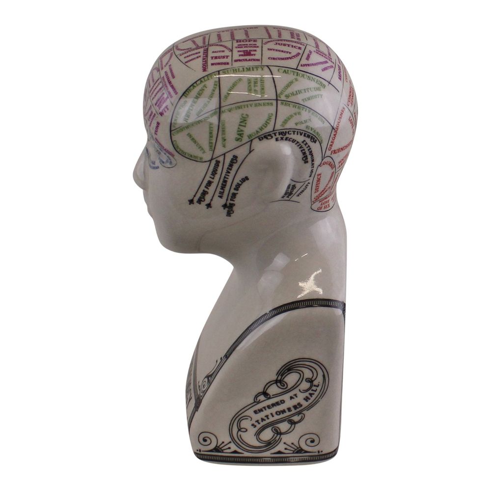 Ceramic Phrenology Head