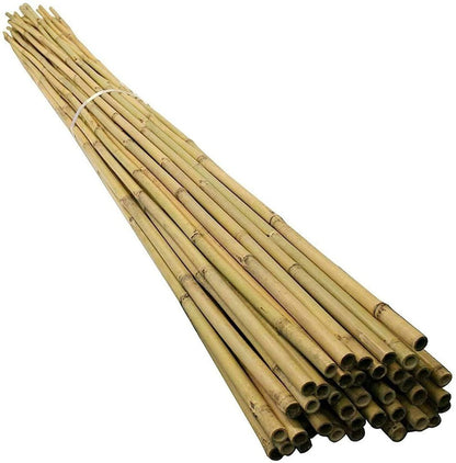 Bamboo Canes 20 x 150cm