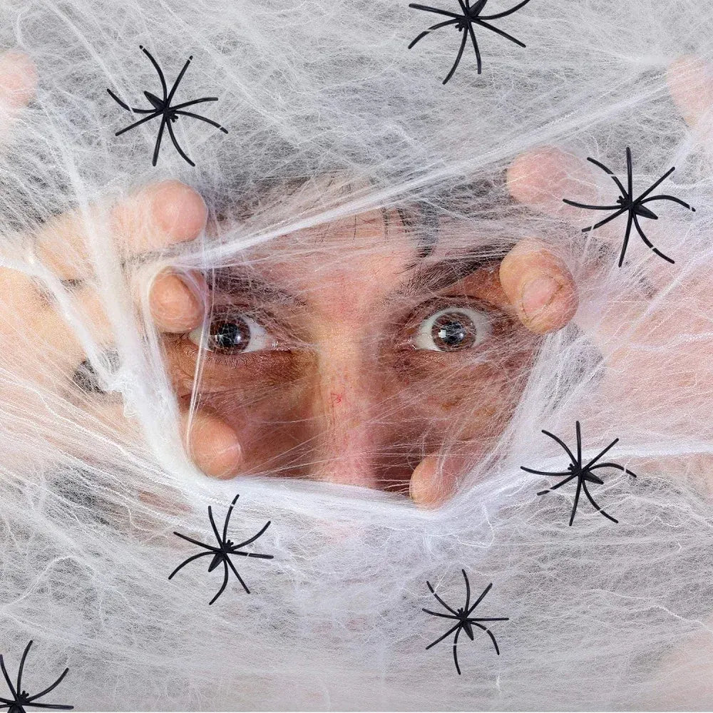 Elastic Spider Web