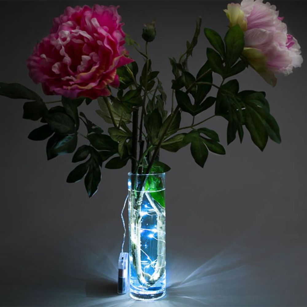LED Copper Wire Fairy Lights 20