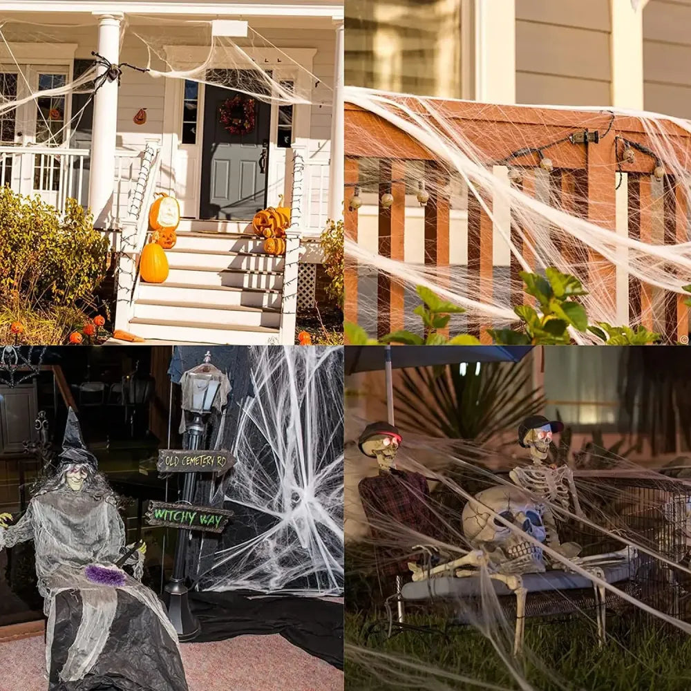 Elastic Spider Web