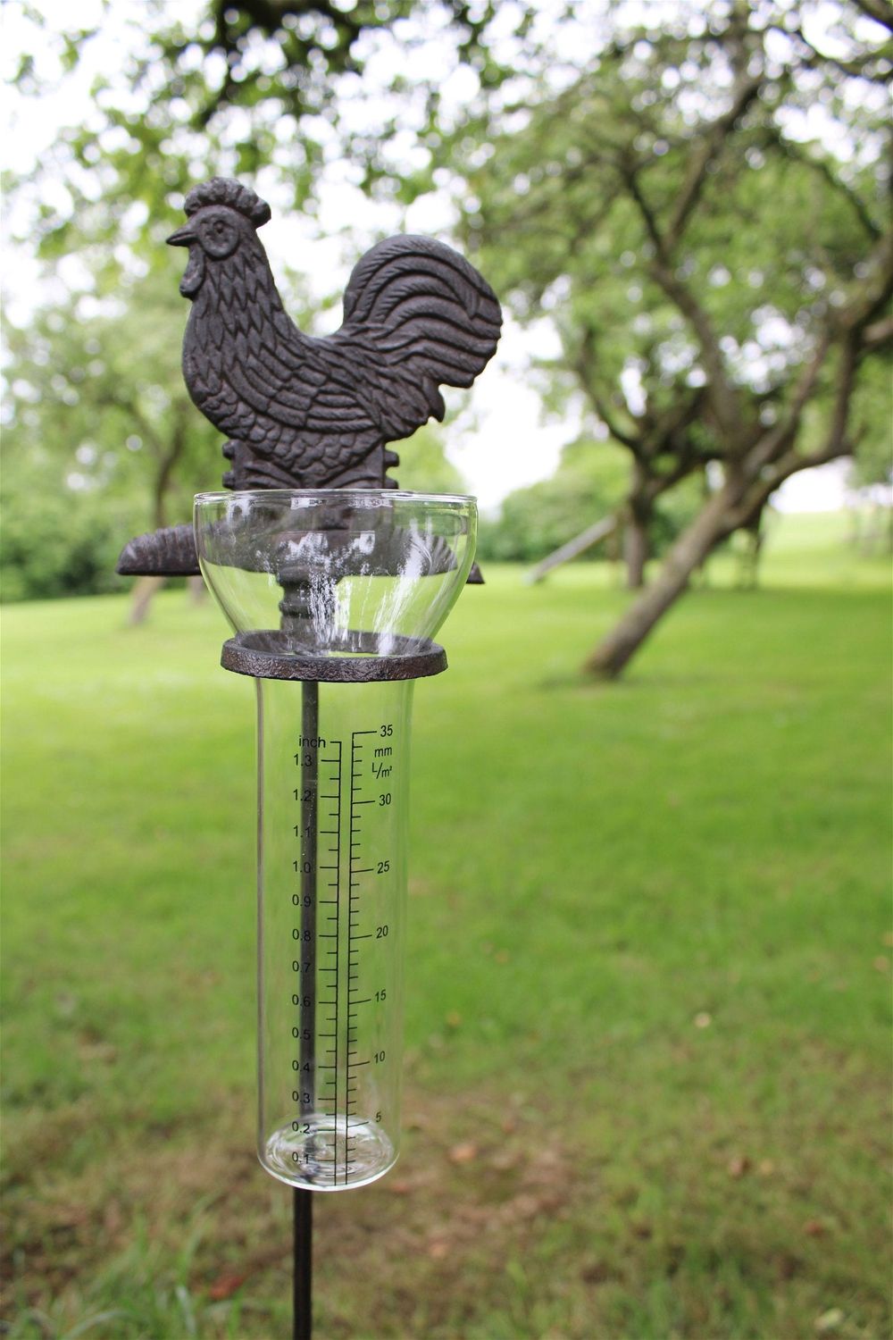 Chicken Rainfall Catcher