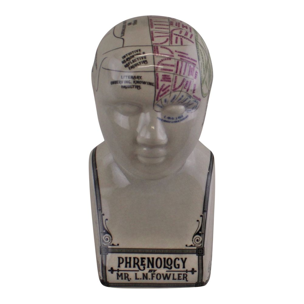 Ceramic Phrenology Head