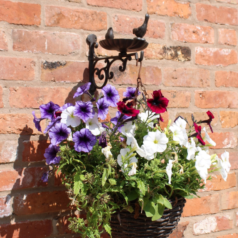 Wall Bracket with Bird Feeder