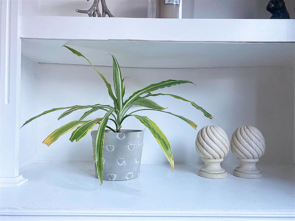 Large Engraved Heart Planter