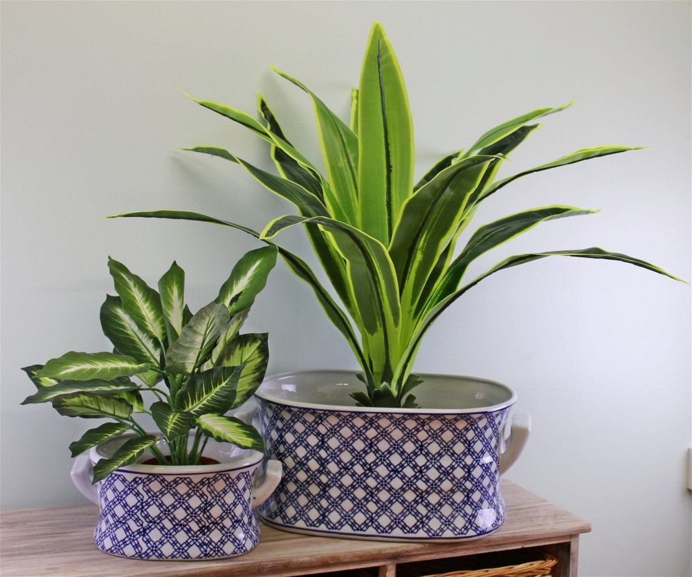 Blue & White Floral Foot Bath Planters x2