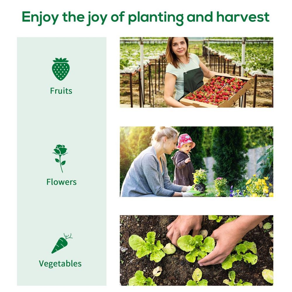 Polytunnel Greenhouse