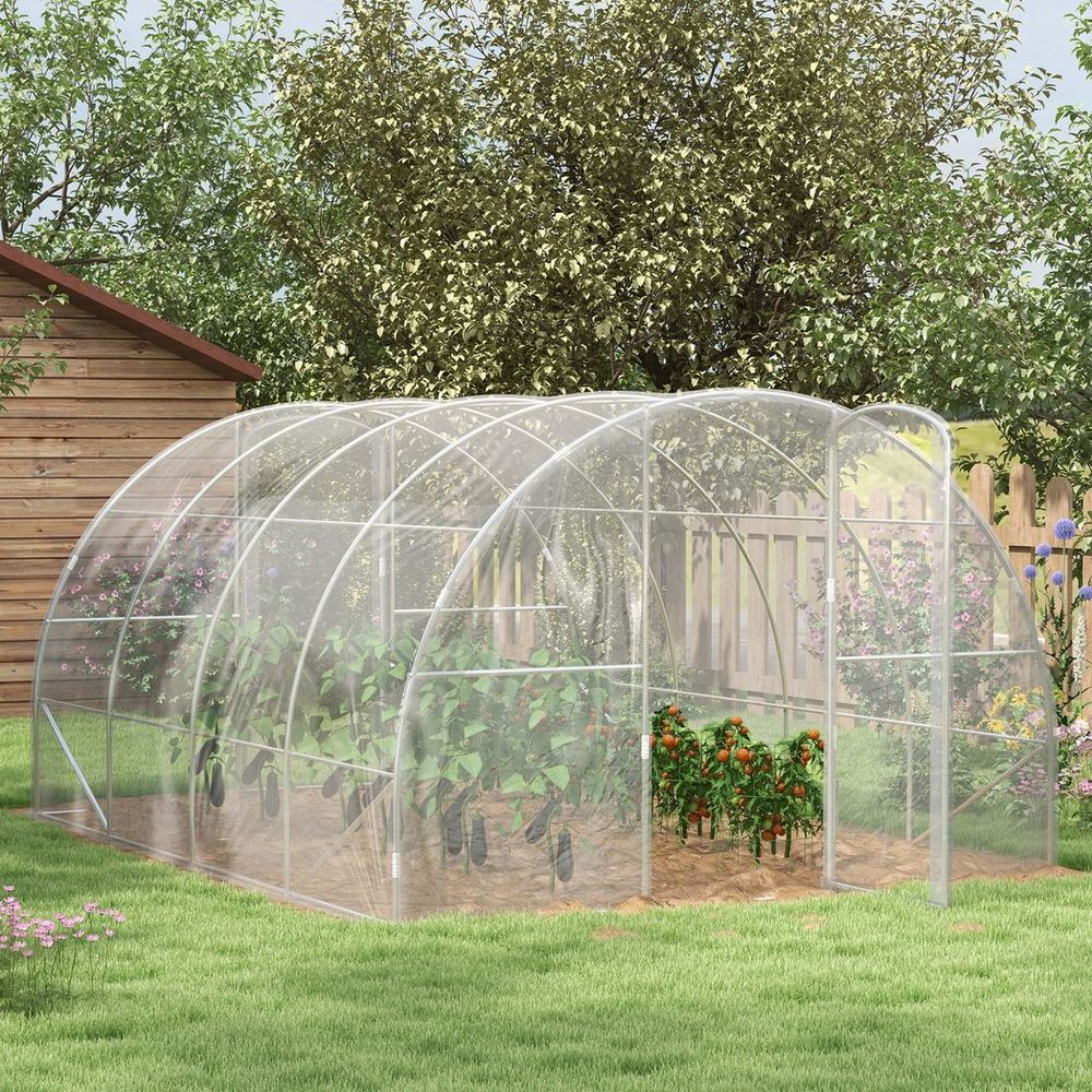 Polytunnel Greenhouse
