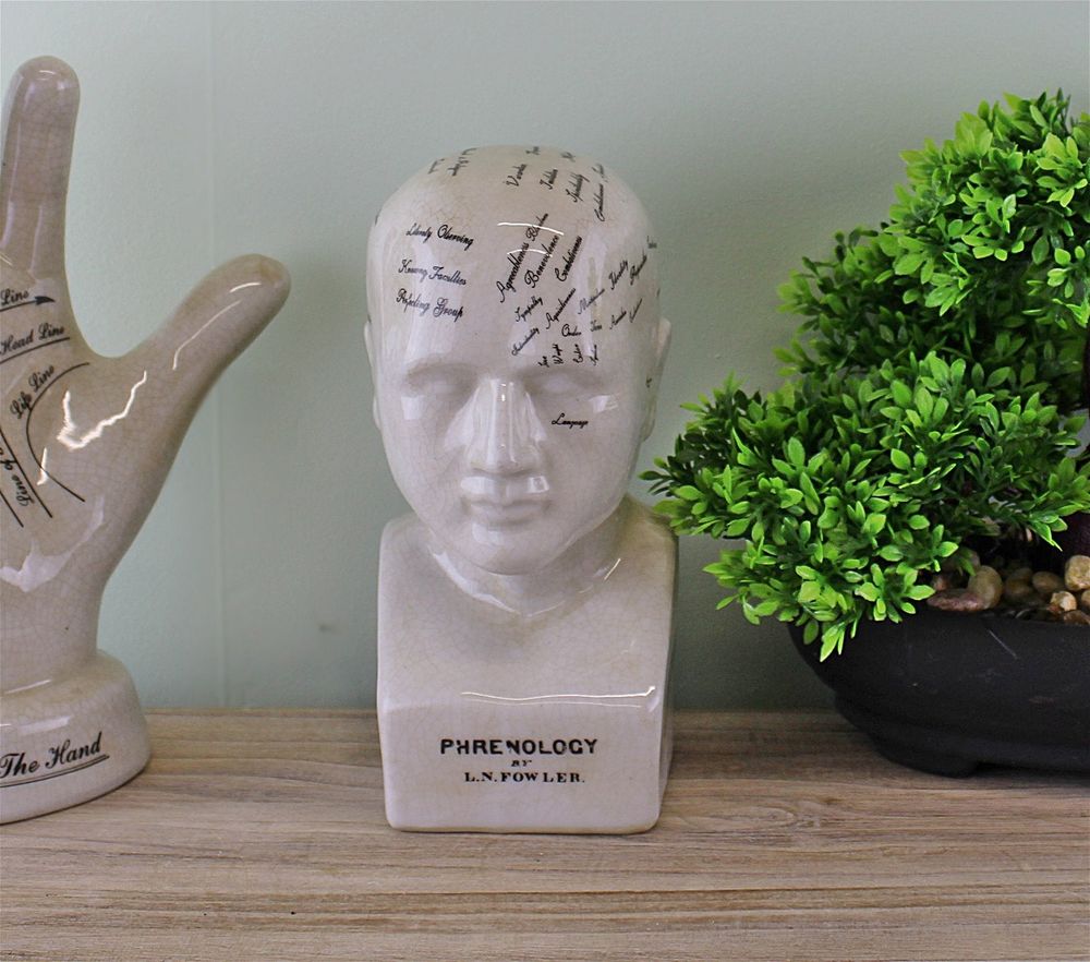 Phrenology Ceramic Head