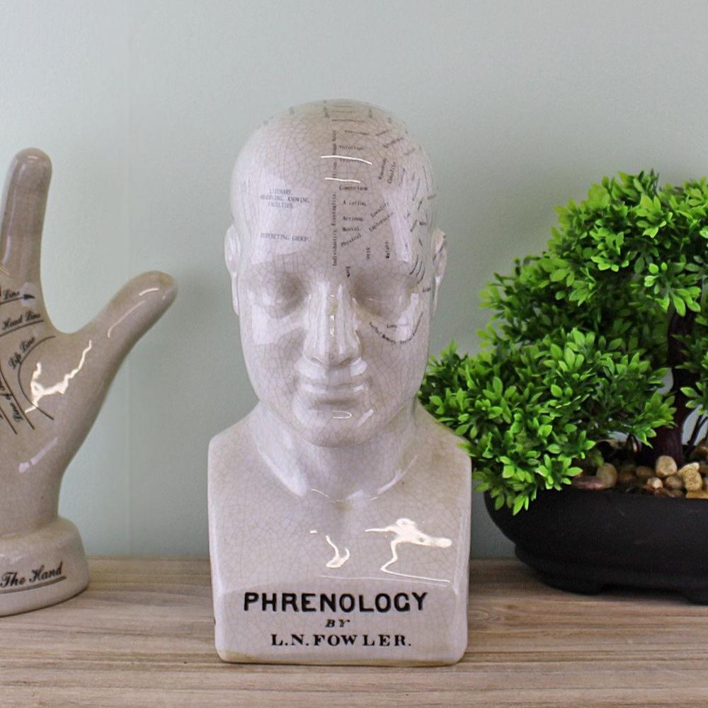 White Phrenology Head