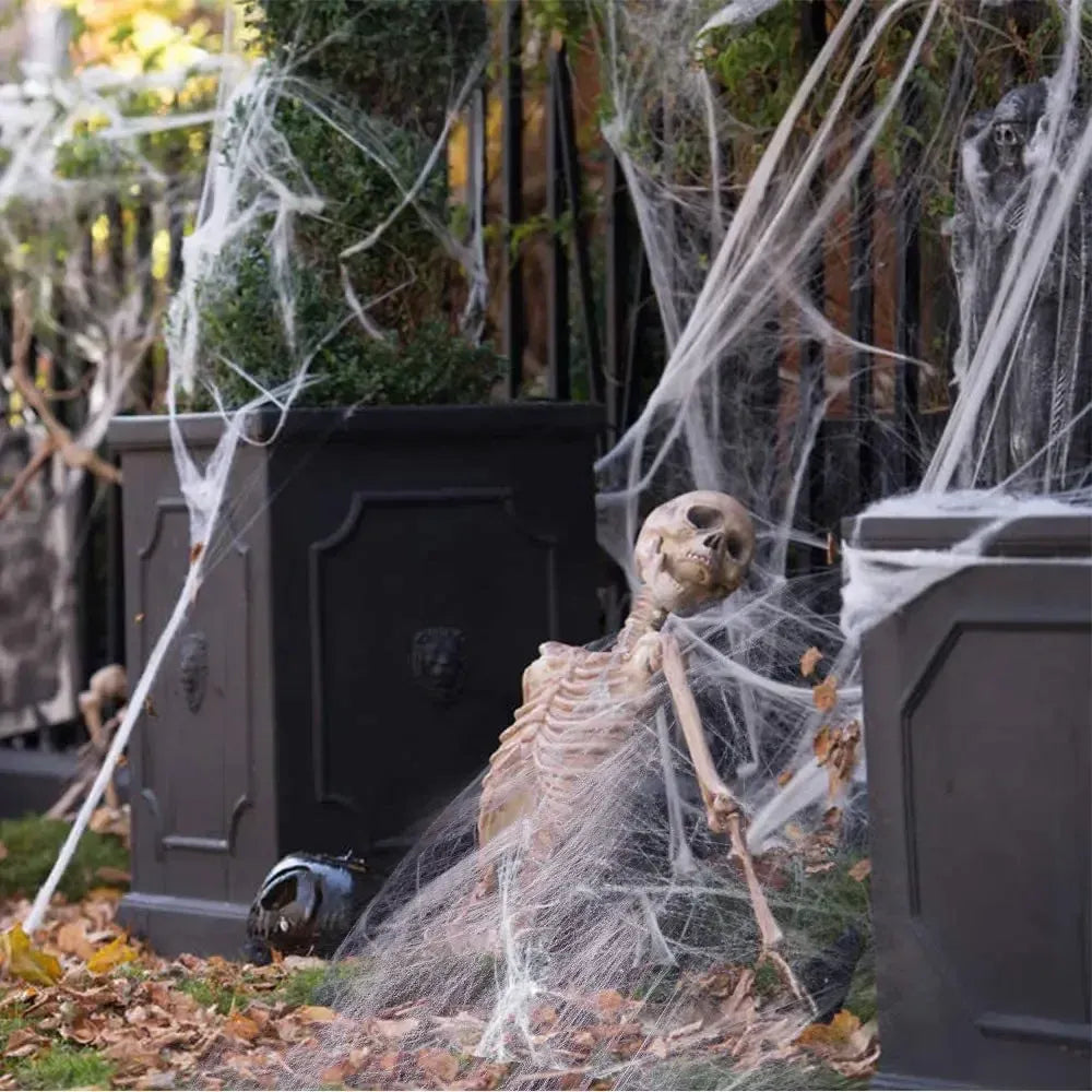 Elastic Spider Web