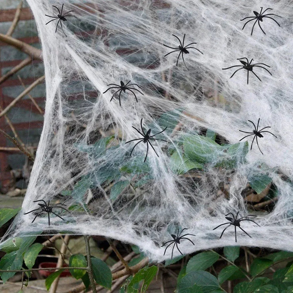Elastic Spider Web