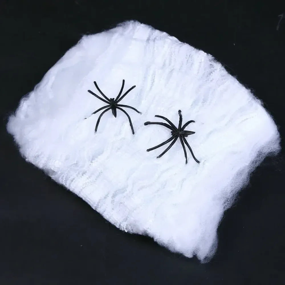 Elastic Spider Web