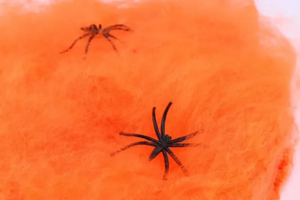 Elastic Spider Web