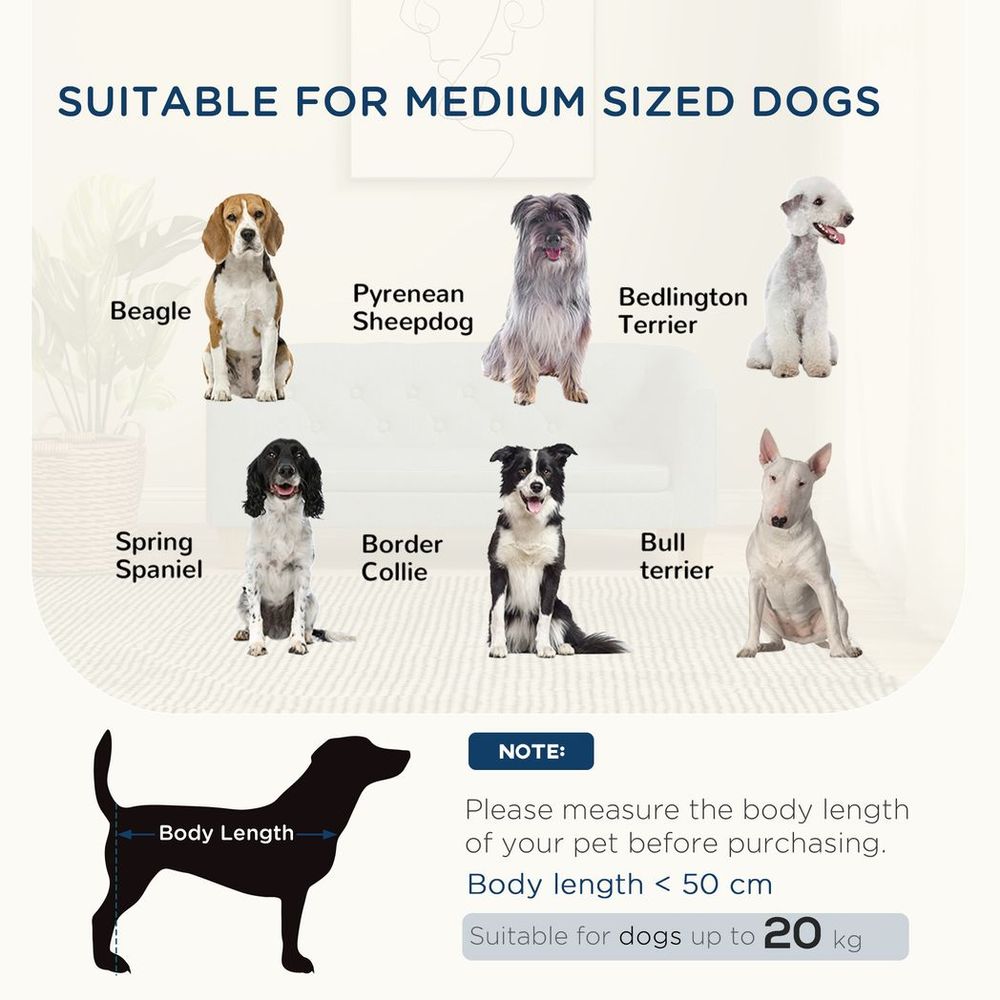 Small Medium Dog Couch