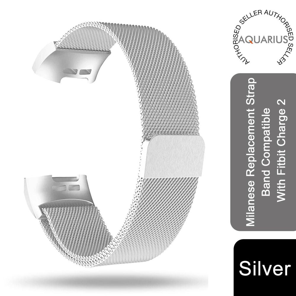 Fitbit Charge 2 Replacement Band Silver