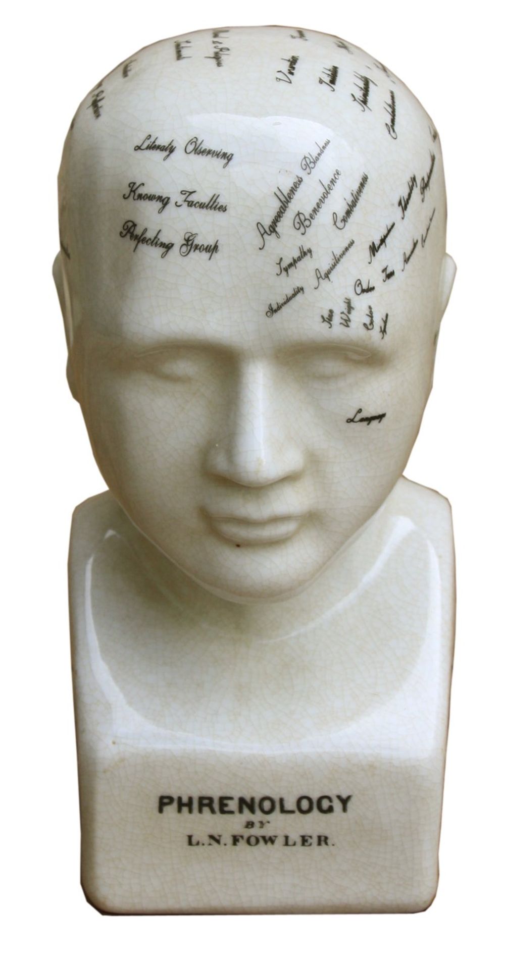 Phrenology Ceramic Head