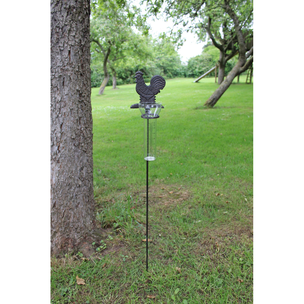 Chicken Rainfall Catcher