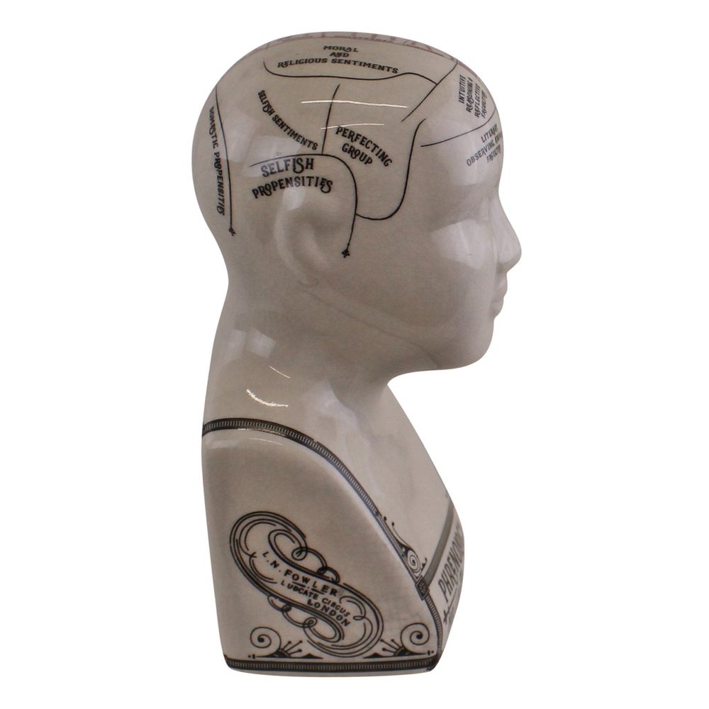 Ceramic Phrenology Head