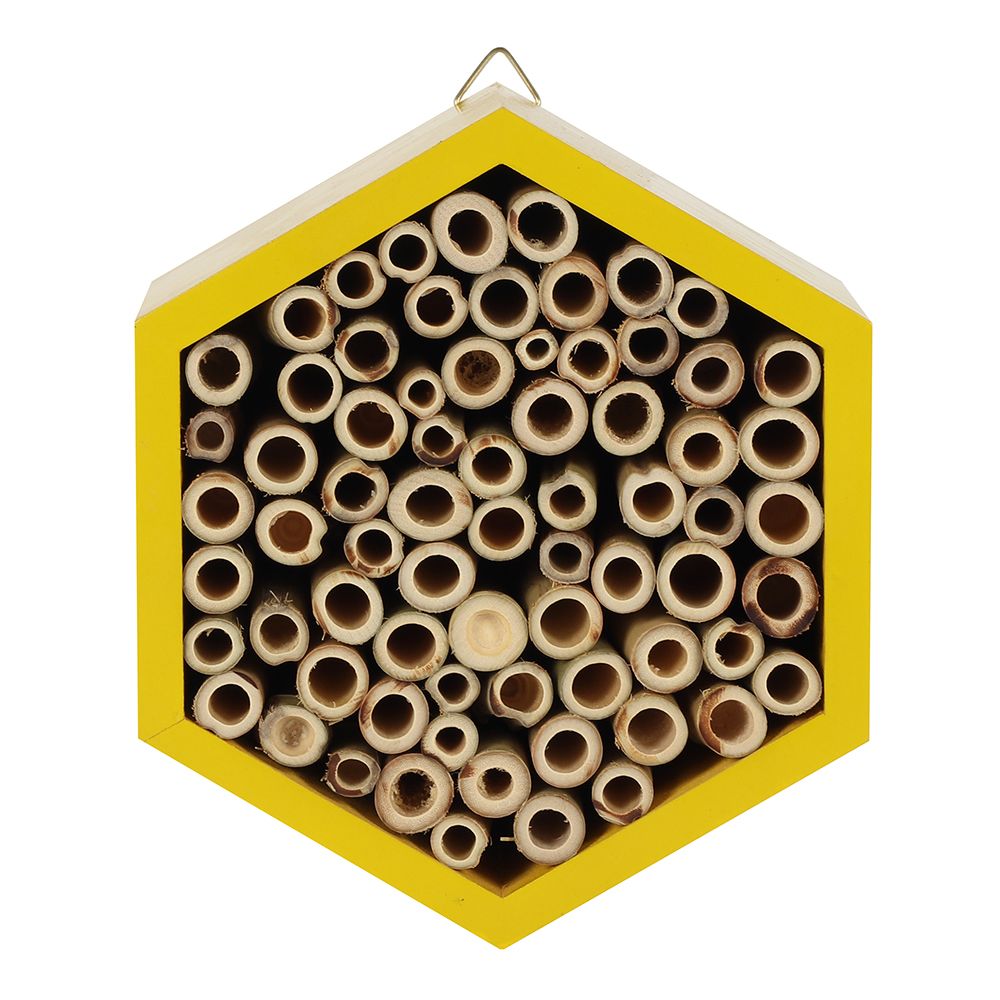 Bee House