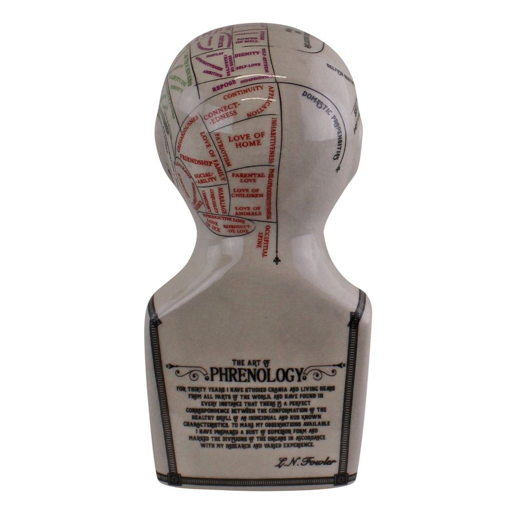 Ceramic Phrenology Head