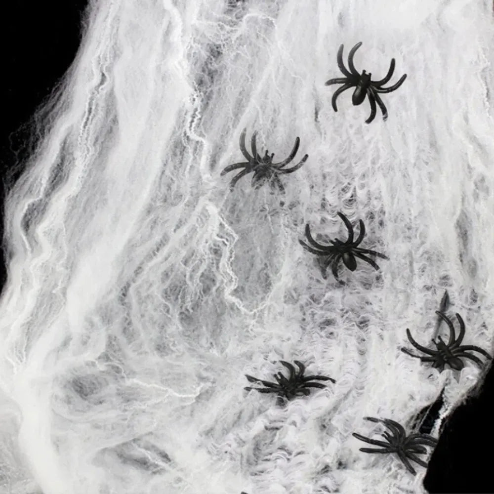 Elastic Spider Web