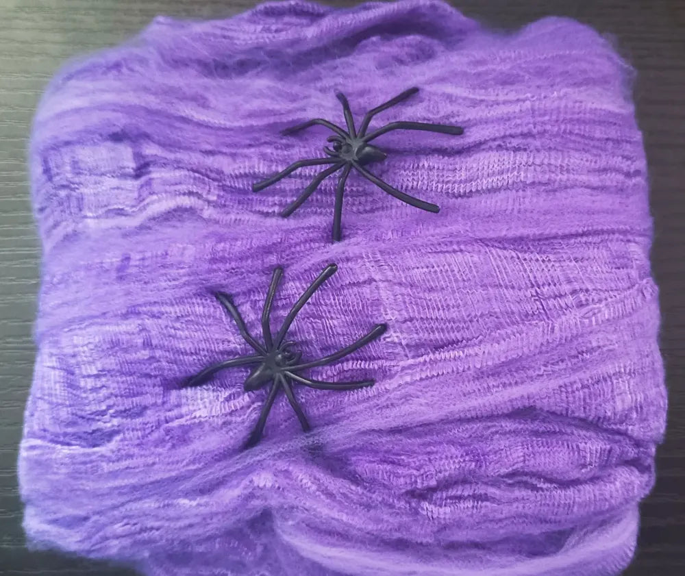 Elastic Spider Web