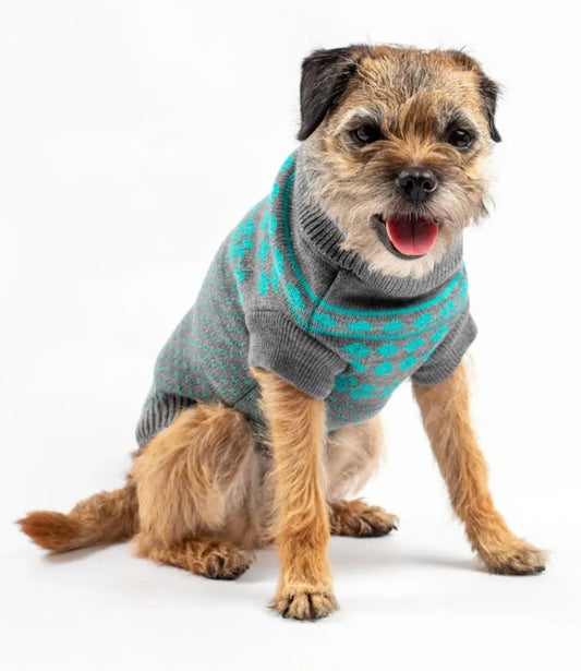 Pet Jumper in Teal and Grey