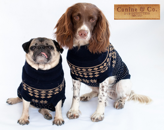 Pet Jumper in Gold and Blue