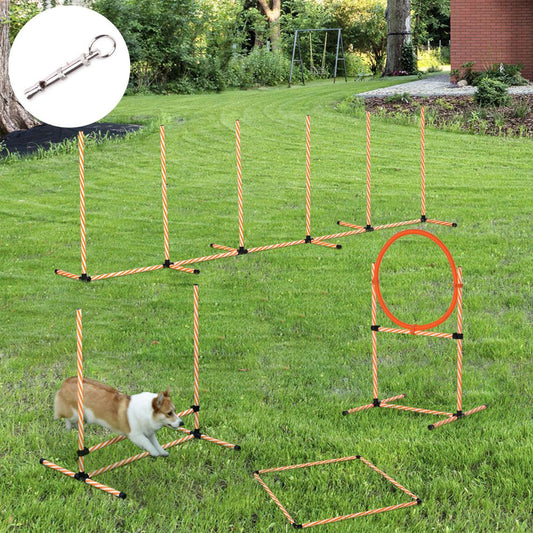 Pet Agility Training Equipment For Dogs