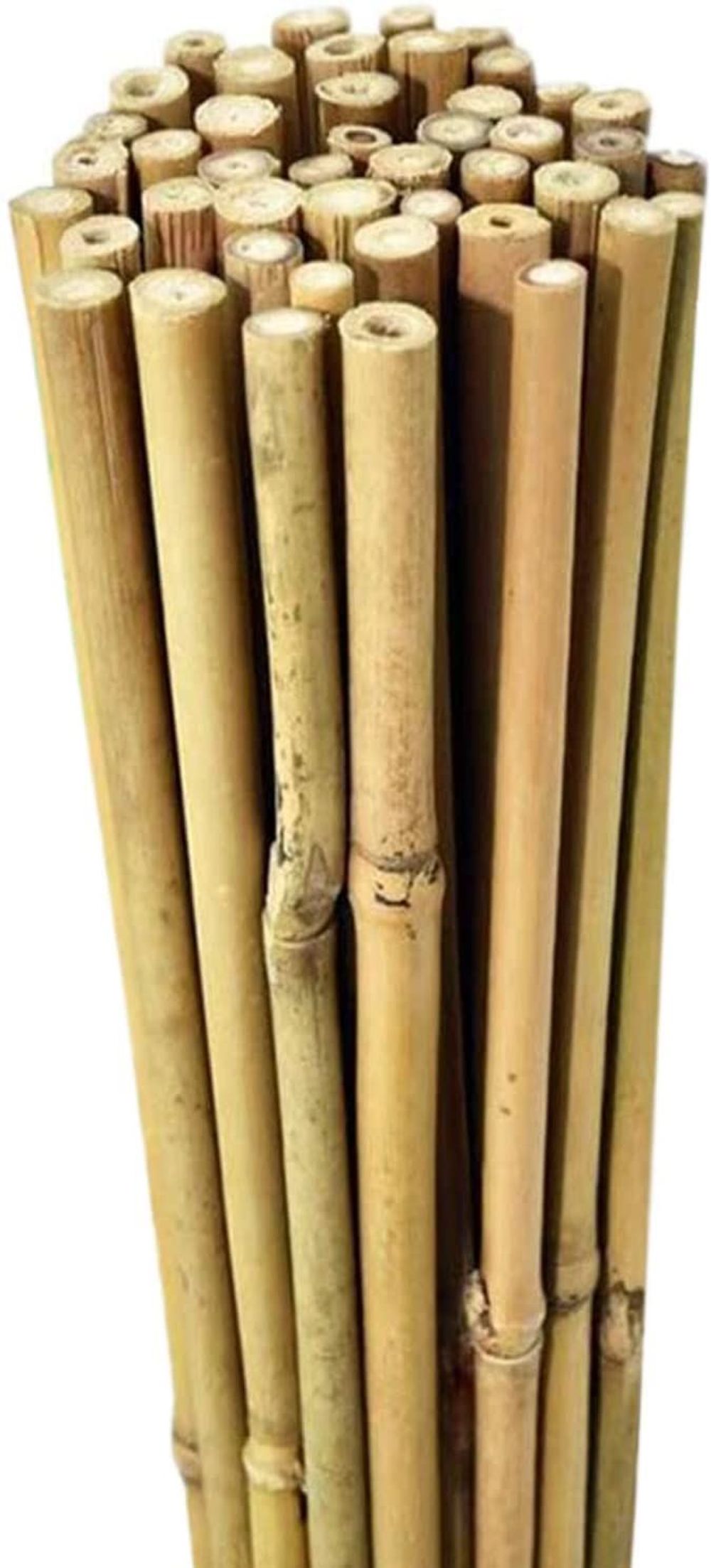 Bamboo Canes 40 x 120cm