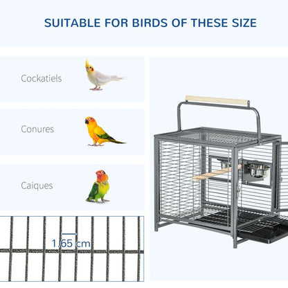 Bird & Parrot Cage with Wooden Perch