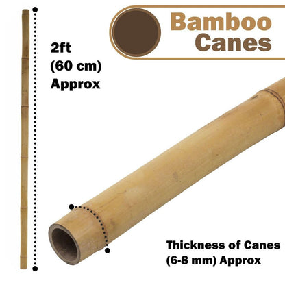 Bamboo Canes 60 x 90cm