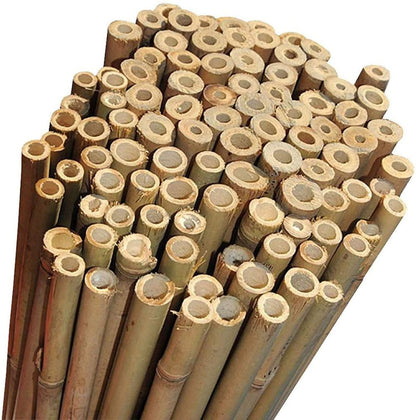 6Ft Bamboo Canes x 10