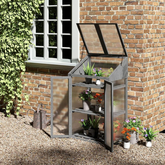 Grey Frame Greenhouse