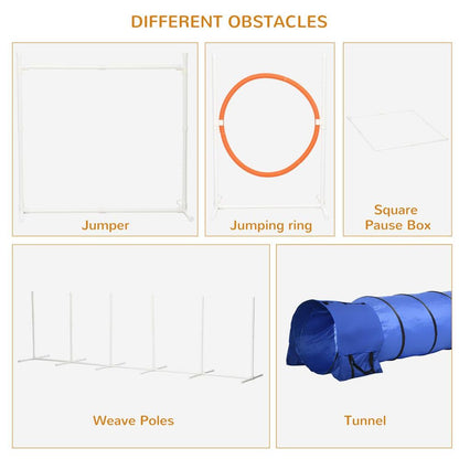 Dog Agility Equipment 6 Pieces