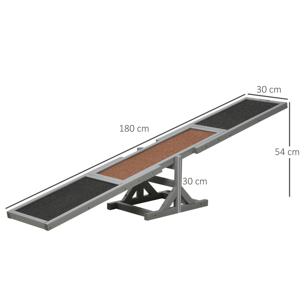 Agility Seesaw