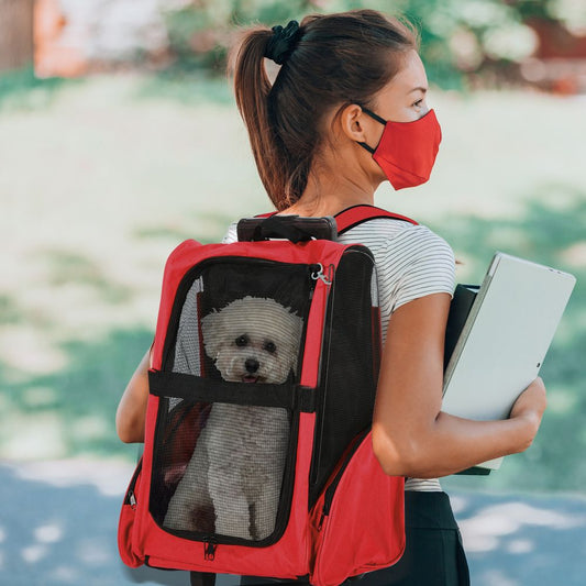 Pet Carrier Travel Backpack