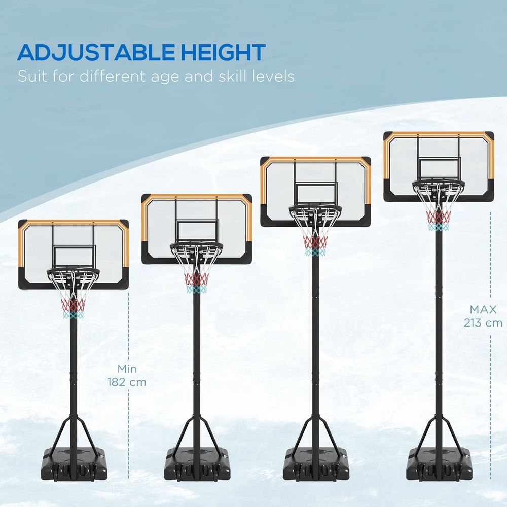 Basketball Hoop System