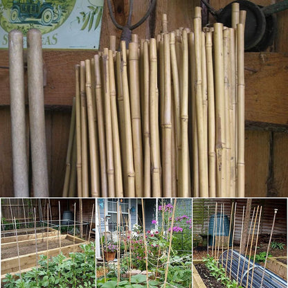 Bamboo Canes 40 x 120cm