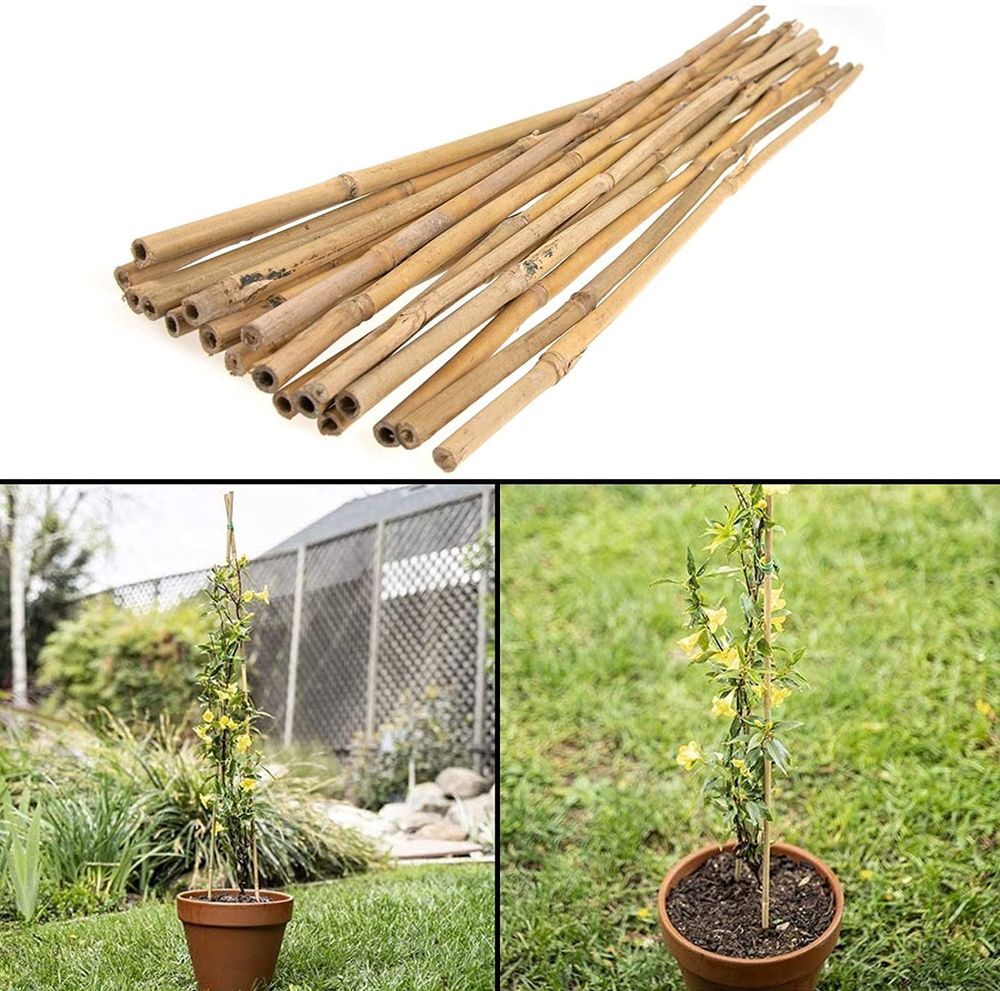 Bamboo Canes 50 x 120cm