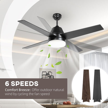 Black Ceiling Fan with Light