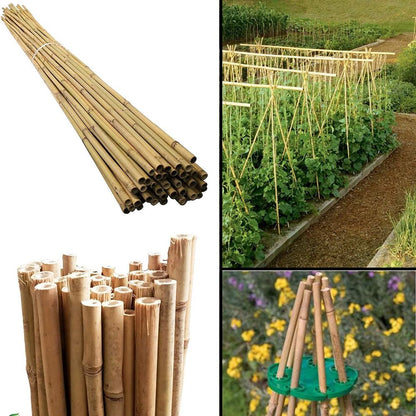 Bamboo Canes 40 x 120cm