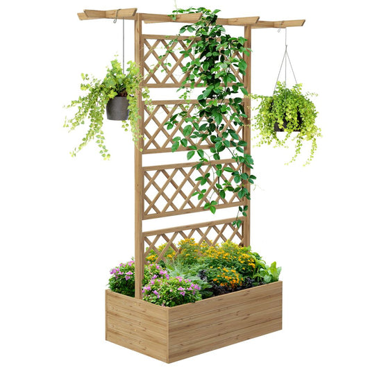 Trellis Planters for Climbing Plants