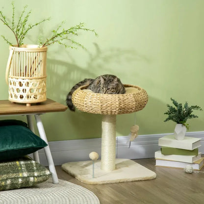 Cat Tree with Top Bed