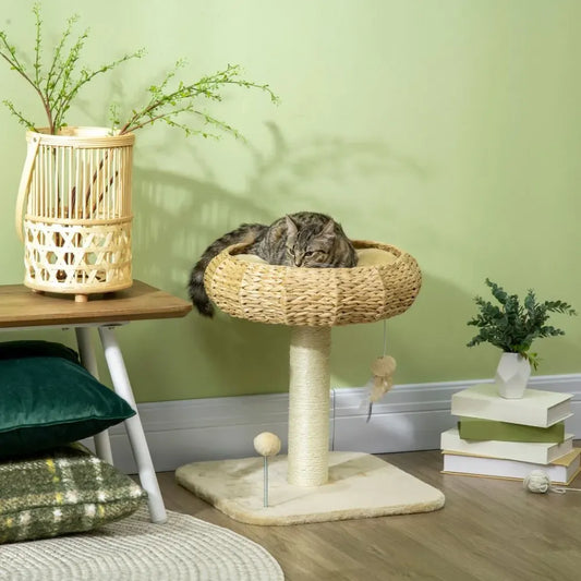 Cat Tree with Top Bed