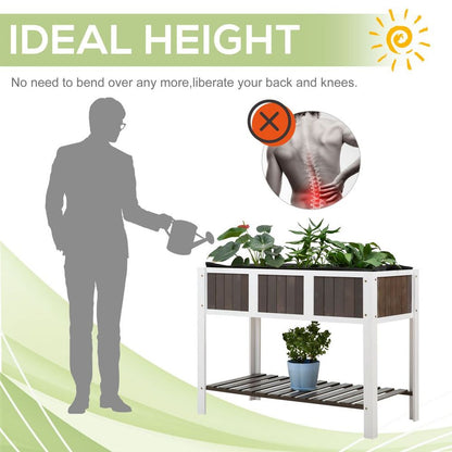 Elevated Planter with Shelf