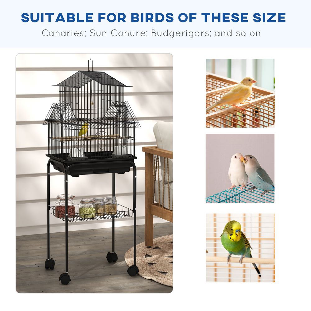 Avian Cage with Handle & Perch