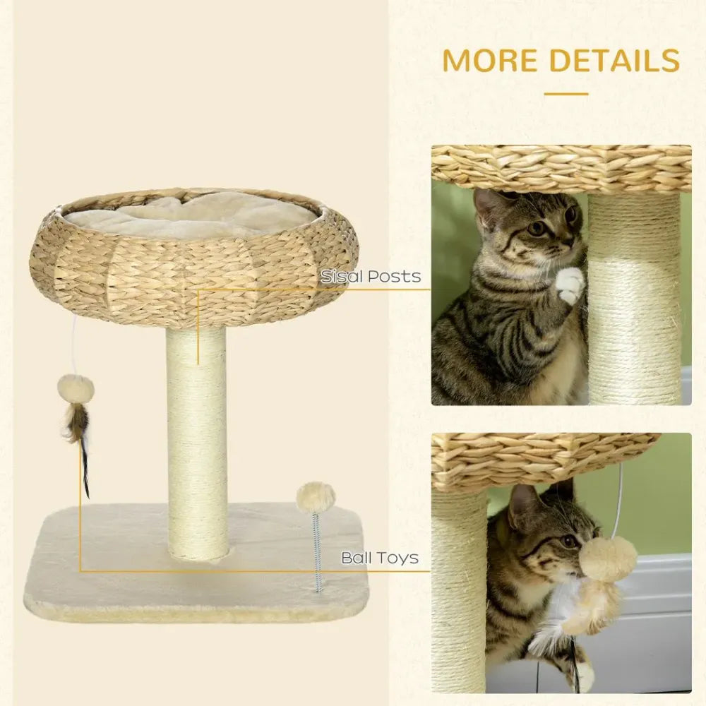 Cat Tree with Top Bed